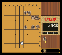puzzle 200-02-02-07