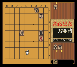 puzzle 300-08-03-07